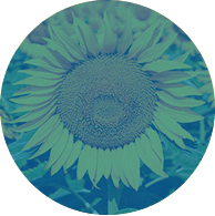 Presentation & approval